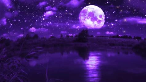 Animated Purple Wallpaper Posted By John Anderson