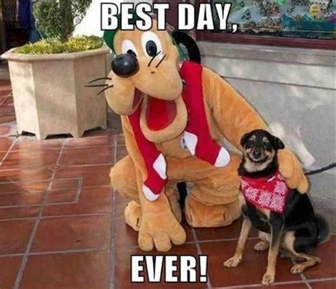 Dog Meets His Hero Goofy Animal Pics With Words Funny Dog Pictures