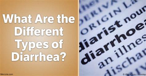 Check spelling or type a new query. What Are the Different Types of Diarrhea?