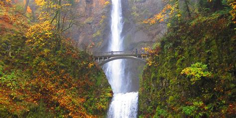 great fall hikes  oregon outdoor project