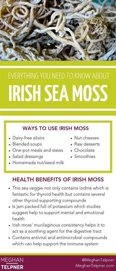 «use sea moss to infuse your hair and face with nutrients! Sea Moss! Where have you been all my life? | Milk health ...