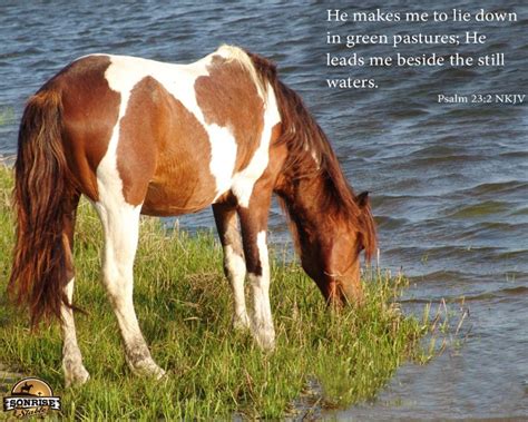 He Leadeth Me Beside Still Waters Horse Photos With Scripture