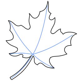 Most of the time, you end up with what looks like a maple leaf irrespective of how many mistakes you make. How to Draw a Leaf | Leaf drawing, Maple leaf drawing ...