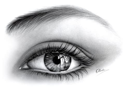 Pin By Dianne L On Historietas Human Eye Drawing Eye Drawing Eyes
