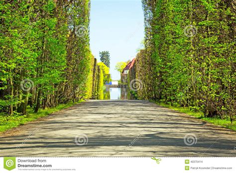 Beautiful Alley In The Park Stock Photo Image Of Avenue Morning