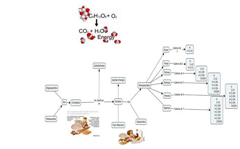 Quimica 2 Mapa Mental De Carbohidratos