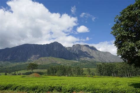 Mount Mulanje All You Need To Know Before You Go With Photos