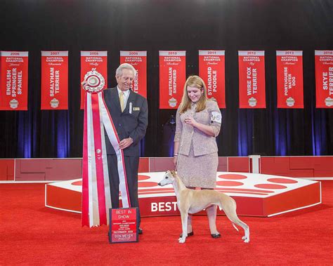 Bourbon The Whippet Wins Best In Show At The Akc National Championship