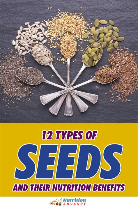 12 Types Of Seeds And Their Nutrition Benefits Seeds Benefits Edible