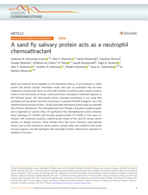 PDF A Sand Fly Salivary Protein Acts As A Neutrophil Chemoattractant