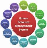 Photos of Payroll Process In Human Resource Management