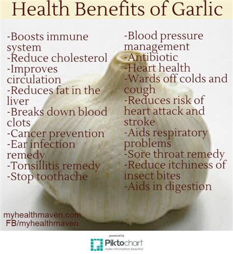 Health Benefits Of Garlic My Health Maven