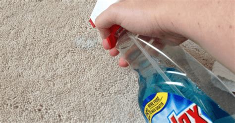 How To Remove A Carpet Stain With An Iron Handy Diy