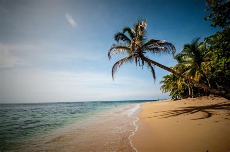 Different Areas And Beaches Of The South Caribbean Puerto Viejo Area