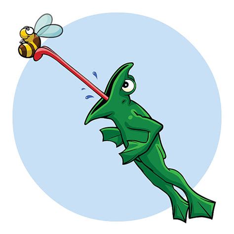 Best Frog Catching Flies Illustrations Royalty Free Vector Graphics