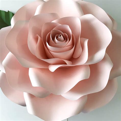 Paper Flowers Svg New Large Rose Template Diy Cricut And