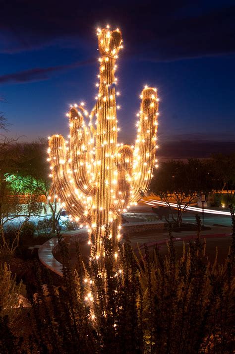 Arizona Christmas Tree Photograph By Jacek Joniec
