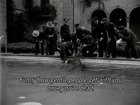 When joe rushes back to see her, norma's servant max whispers something along the lines of you. Sunset Blvd. (1950) - Memorable quotes | Film quotes, Film, Film noir