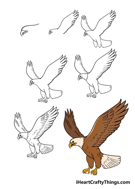 Eagle Drawing How To Draw An Eagle Step By Step