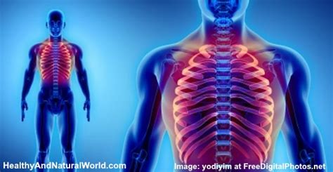 Rib Pain On Left Or Right Side The Most Likely Causes Of Rib Cage Pain