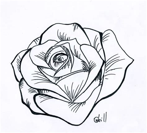 Rose Line Drawings Clipart Best