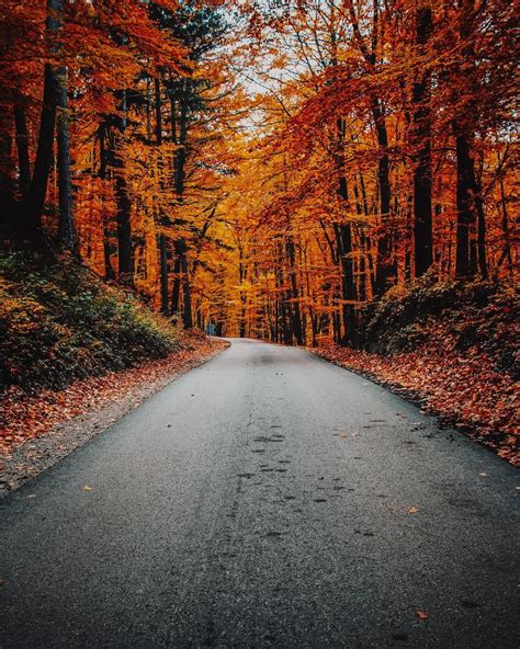 Autumn Road Wallpapers Top Free Autumn Road Backgrounds Wallpaperaccess