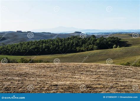 Tuscan Landscape Of The Sienese Hills Stock Image Image Of Landscape