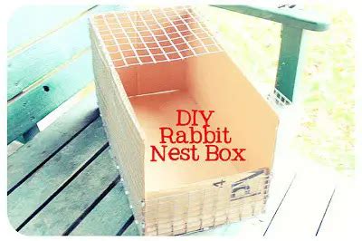 Diy Rabbit Nest Box Ideas Try Out This Weekend