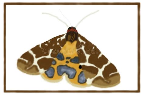 Caja Di Tiger Moth Arctia Del Giardino Arte Di Digital Illustrazione