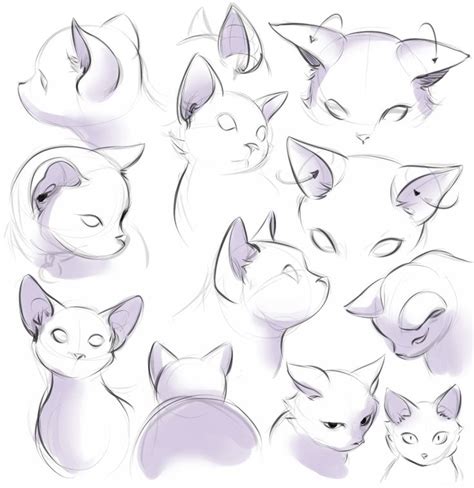 Guide To Drawing Ears Cats Art Drawing Cat Drawing Tutorial Art