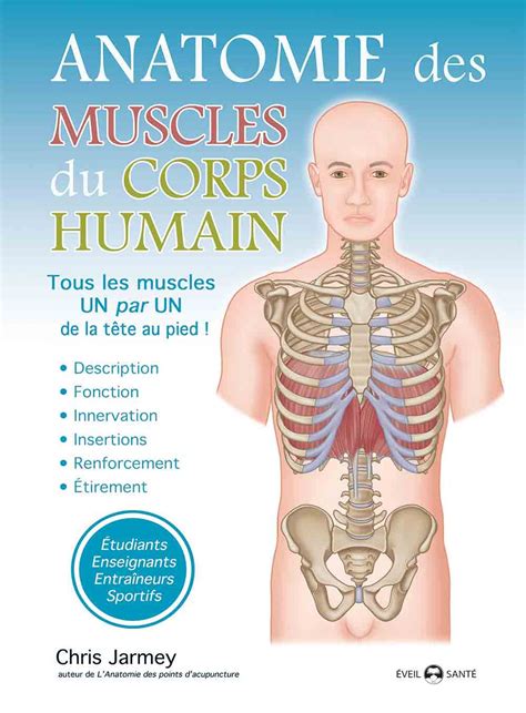 Anatomie Des Muscles Du Corps Humain Distribution Prologue