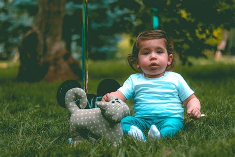 無料画像 子 緑 人 草 幼児 赤ちゃん スマイル 工場 家族 休暇 フォーン 肖像写真 芝生 遊びます