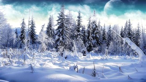Snowy Nature Wallpapers Wallpaper Cave