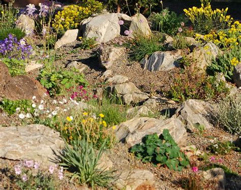 Because many of these plants are native to the various mountainous regions around the world. rock-garden-plants - Your Gardening Info