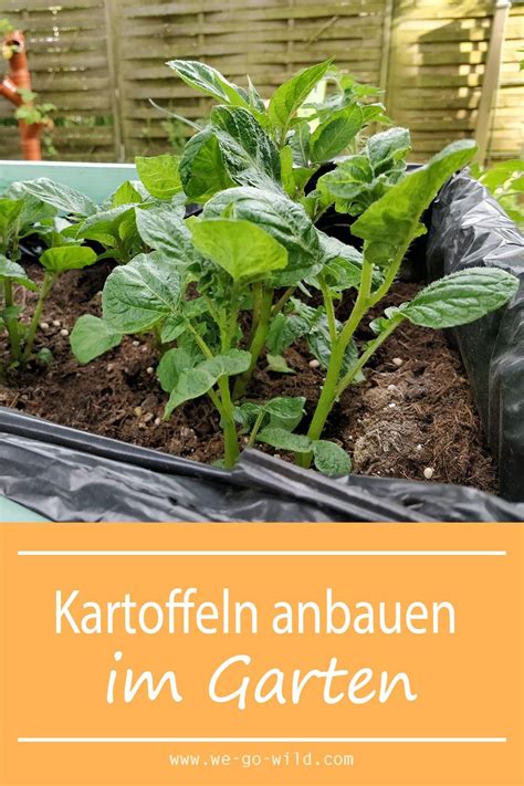 Wohnung zur miete in selb. Pin auf DIY Garten und Wohnung