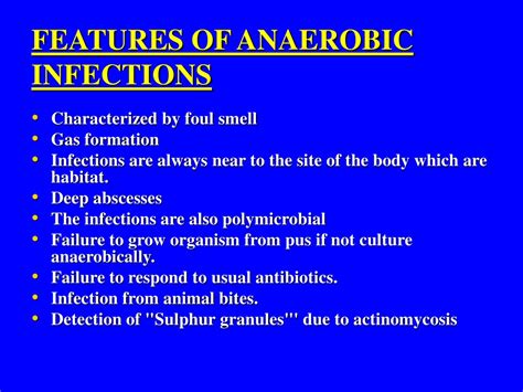 Ppt Clinical And Lab Aspect Of Anaerobic Infection Powerpoint