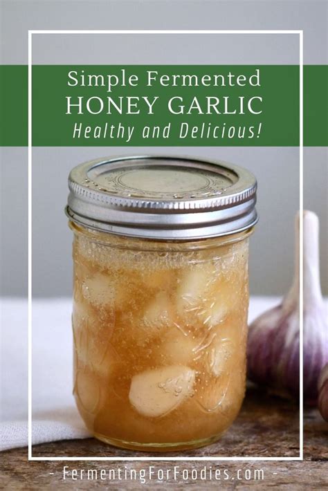 honey fermented garlic a delicious infusion fermenting for foodies
