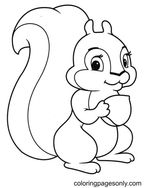 Cute Squirrel Coloring Page Free Printable Coloring Pages