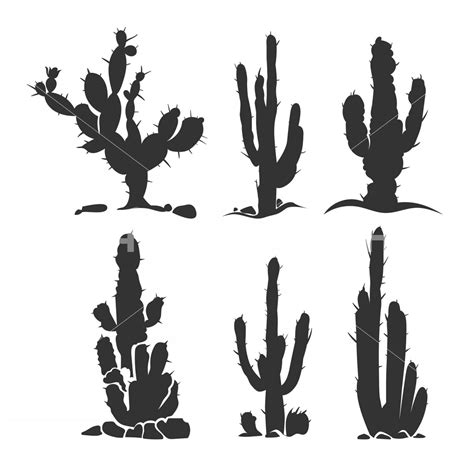 Cactus Silhouette Vector At Collection Of Cactus