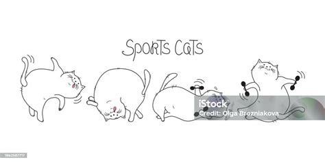 Cartoon Cats Set Lettering Fat Happy Cats Doing Gymnastics Cat With