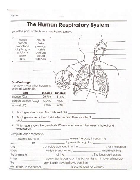 Respiratory System Online Worksheet For 11 You Can Do The Exercises