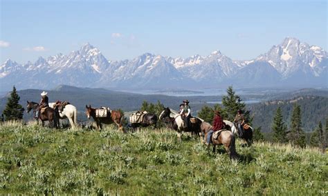Grand Teton National Park Horse Pack Trips And Llama Trekking Alltrips