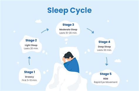 Stages Of Sleep Sylvester Waugh