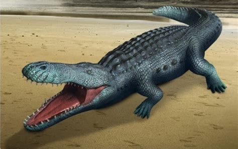 Deinosuchus Was A Giant Relative Of The Alligator That Lived In North America During The