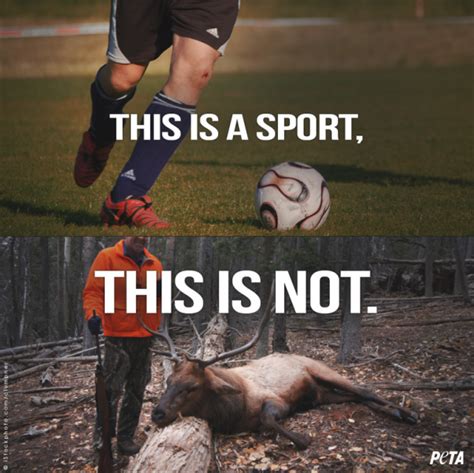 9 Things No One Told You About Hunting Peta