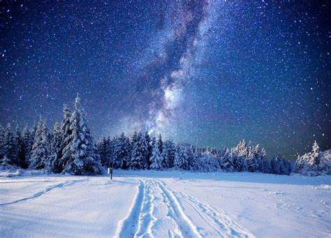 Download Night Starry Sky Nature Star Sky Snow Forest Winter Sci Fi