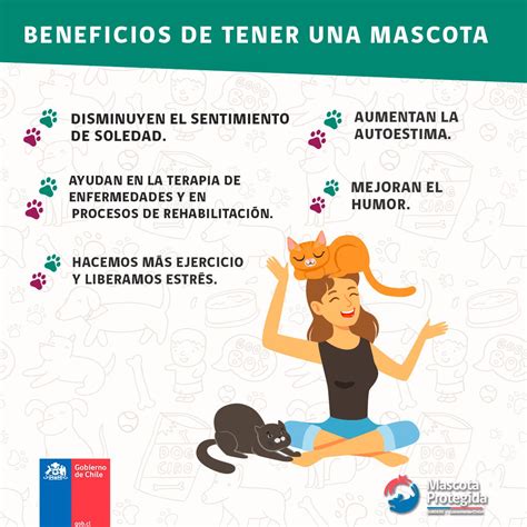 Beneficios De Tener Una Mascota Para La Salud Estos Beneficios