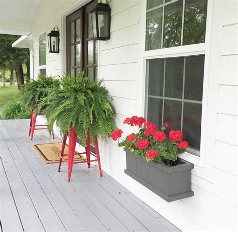 10 Plant For Front Porch