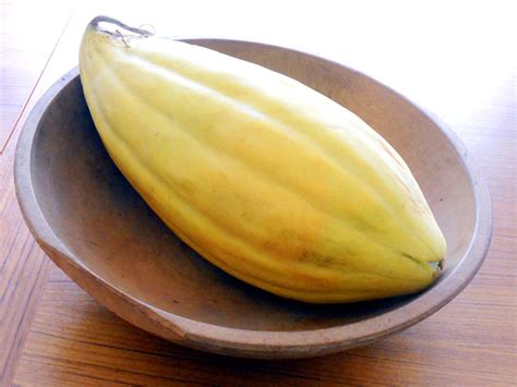Heirloom Sweet Banana Melon Cucumis Melo 25 Seeds
