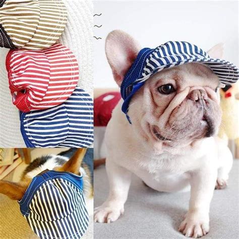 The Cutest French Bulldog Summer Hats To Keep Your Dog Protected